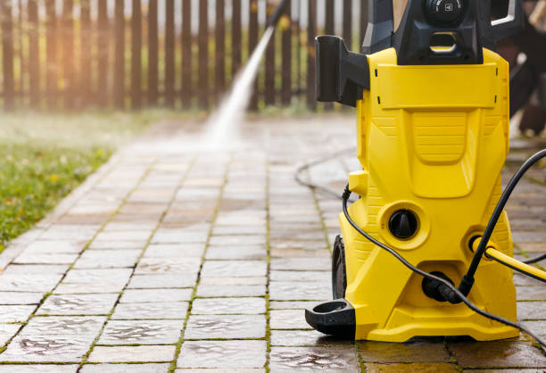 Best Animal Enclosure Cleaning  in Meadow Woods, FL